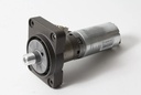 Wheel Motor for 430X/XH, 450X/XH, 520/H, 550/H, 435X[Front], 450X/550 EPOS